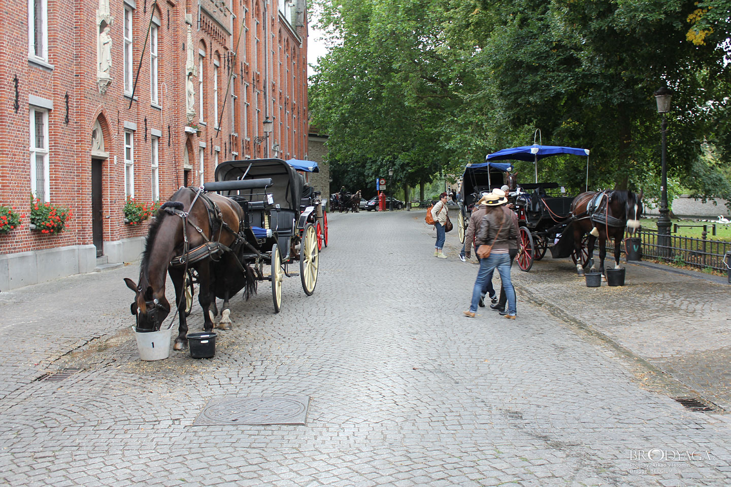 Brugge